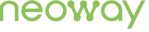 Neoway Logo