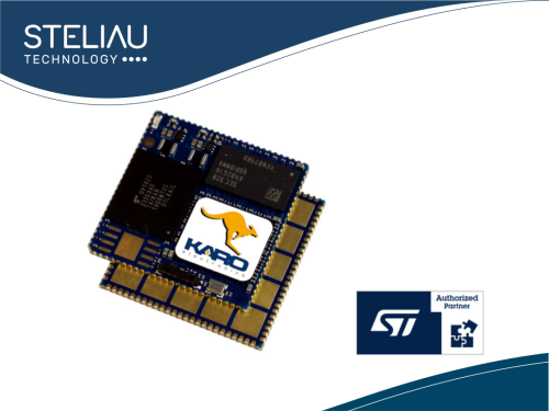Product image QSMP